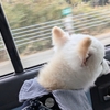 犬旅〜那須①🍂 〜