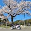 【動画あり】VFR800F （RC79） アクセルオフ～微開時の異音 【原因判明】