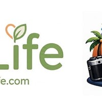 ソフトバンクにまつわるトラブル集