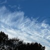 波のような面白い雲が浮かんでいた