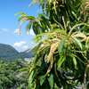 5月の写真
