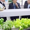 工場産野菜：食卓の主役に？　農薬不要、栽培期間半分の事。