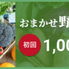 あなた好みの新鮮野菜をお届け！「食べチョクコンシェルジュ」