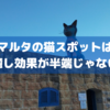 【性格がみんな違う】マルタの猫スポットで猫堪能したら癒し効果が半端じゃなかった