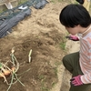 収穫祭②イヤなことは仕方ない