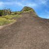本日は自主的に職場にこもって…