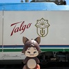 2025年版｜ウズベキスタン旅行の注意点とおすすめの持ち物