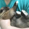 おちりチェック中の表情