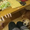 ハロウィンの真面目な過ごし方 ２