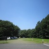 六道山_赤坂谷戸_こんなキノコが・・(東京都武蔵村山市など)