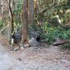 黒山三滝から日照水　修験道の道探し