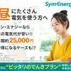 「生活スタイルに合わせた電力選択｜シン・エナジーの料金プランと口コミ」