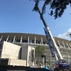 東京オリンピック2020 まで、今日はちょうど１年前！！！　One Year to go to Tokyo Olympics 2020. いよいよカウントダウンだ！