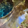 龍神様は祈りの氣を受け取って空に上がっていかれました