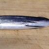 トビウオ・シラサ海老・酒井さんの蓮根　など