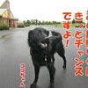 転んでも抱っこしてもらうまで起きるな！
