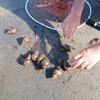 釣り馬鹿メモ