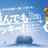 北海道の観光・旅行情報サイト HOKKAIDO LOVE!｜北海道へ！飛んでもラッキー！プレゼントキャンペーン