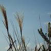 たまには遠回りも良いよね　（説教三昧の幸せな一日　Part 3)
