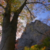 奇岩と紅葉