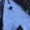 御所の雪道