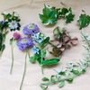 押し花に挑戦してみた！結果、上手く行かない花がわかった。