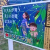 儚げな蛍の光にシンパシーを感じました
