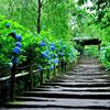 目標を改めて見直す