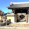 稲城市「高勝寺」巨木カヤの木と文化財の魅力