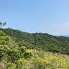 沖縄県 伊平屋島 採集記