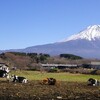 自転車で富士山をぐるっと回ってきた。