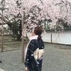 桜を求めて京都キモノ旅 醍醐の桜と京ランチ