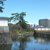 勝俣部長の「ため息」４７７１回････レジ袋お付けしますか