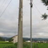 電柱撤去の見通し