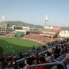 2012年度レディースカープご当選のお知らせ