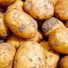「その、和風ポテサラとやらを、食べさせろ」