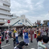 大岡越前祭2024 ビッグパレードに参加しました