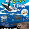 水族館でも出会えない！ 海のビックリ生物展 