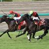 春の実績馬の貫禄勝ち