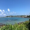 癌治療と漢方
