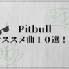 【洋楽】Pitbullのオススメ曲１０選！！夏のドライブで盛り上がれる曲はこれ！！