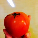 ときめきおばけ