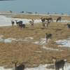 201603北海道旅行 その4 「最果ての地」