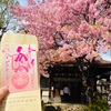 子安稲荷神社（東京・上池袋）の三月限定桜御朱印