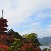 安芸の宮島紅葉狩り2017　インスタ映えスポットを巡ってみた①　五重の塔と黄金に輝く　豊国神社　千畳閣の大銀杏