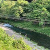5月20日(火)秩父フライフィールドの河川情報