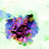 紫陽花の絵（加工写真）