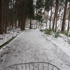 雪中サイクリングじゃあぁあ｡:.ﾟヽ(´∀`｡)ﾉﾟ.:｡ ゜！！第１ROUND　道庁～円山・北海道神宮。