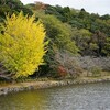 袖ケ浦公園の黄葉・紅葉