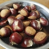 栗を頂きました